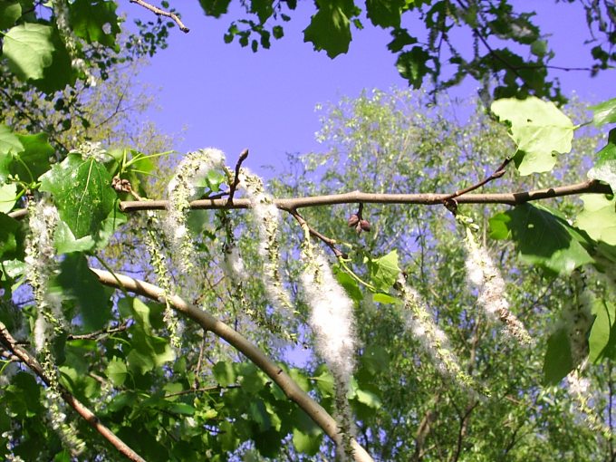 2004-05-14 18-27-01.jpg